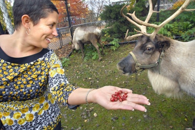 Deer sales poop necklace