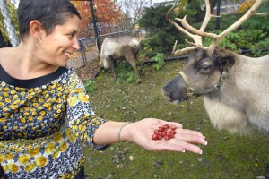 deer poop necklace