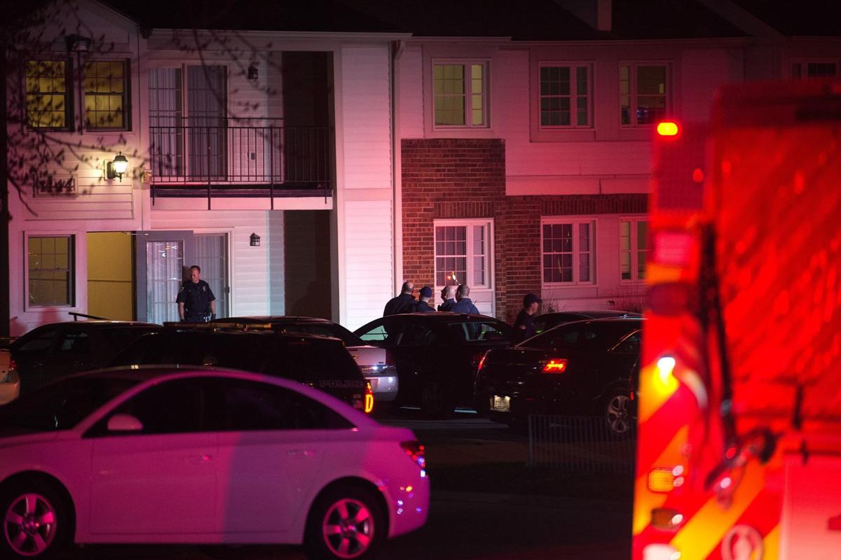 State Victims Shot 20 Plus Times Teen Charged With Murder Local Crime Courts Pantagraph Com