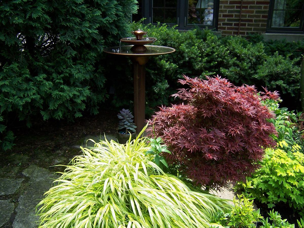 Shade Garden Ideas That Go Beyond Hostas Pantagraphcom