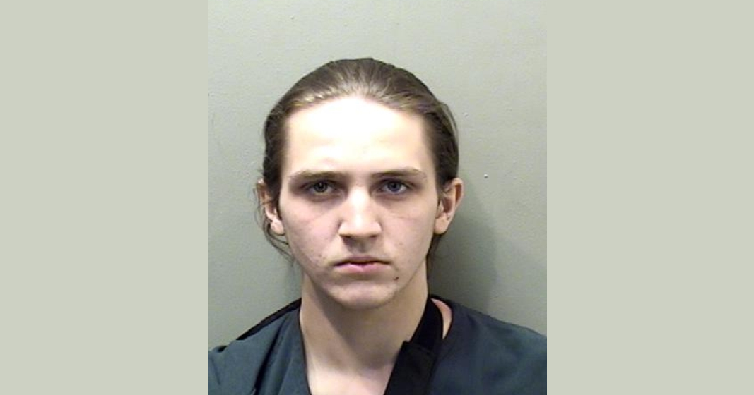 Arkansas man accused of shooting at police in McLean County