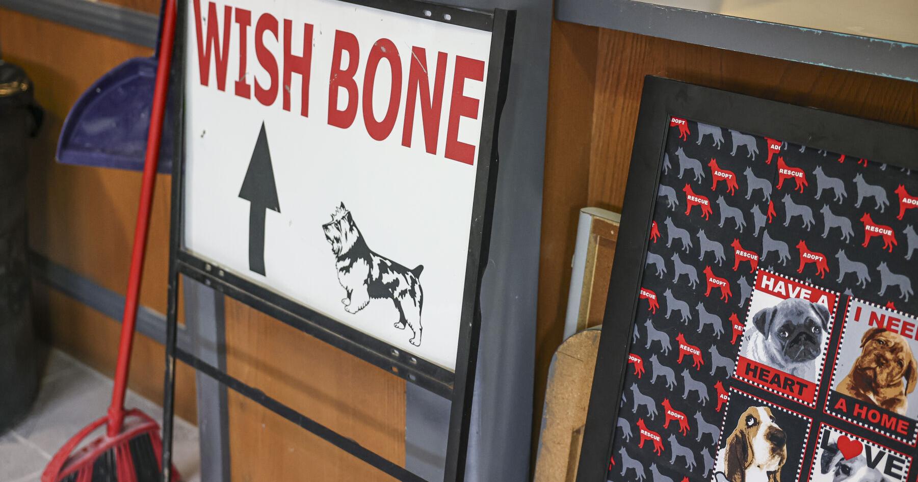 Wish Bone Canine Rescue to host open house Saturday in Normal - Vimarsana News