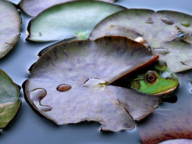 Daniel Eidsmoe's photography