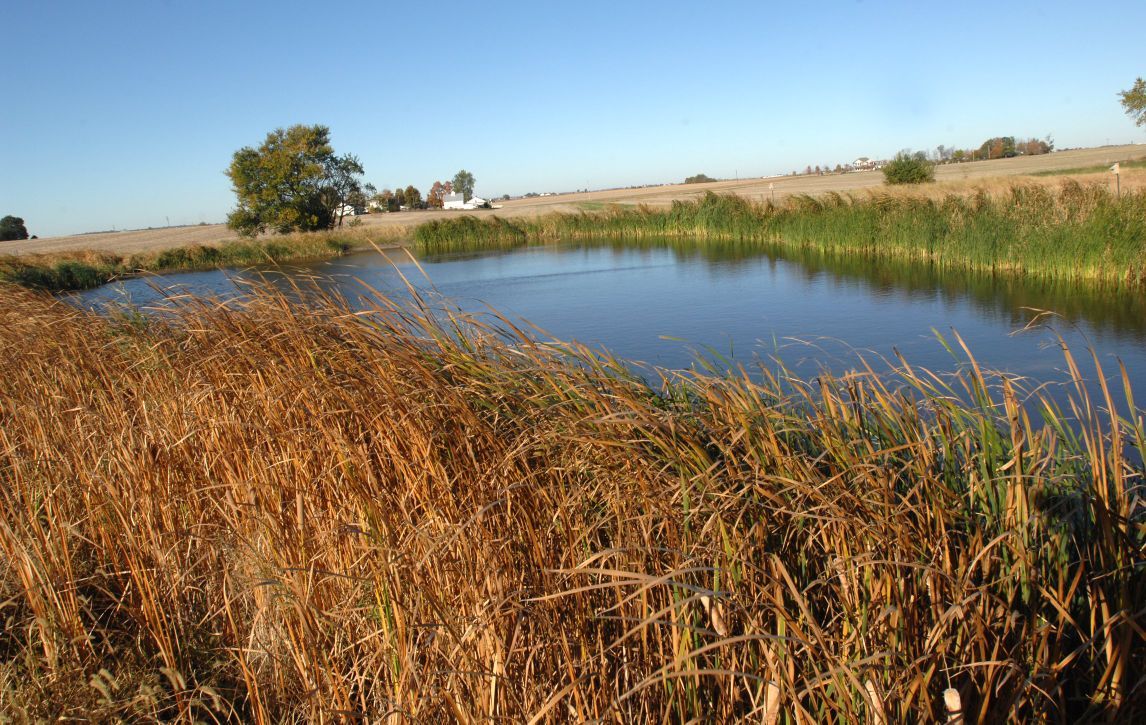 M.J. Rhymer Family Dry Grove Nature Preserve