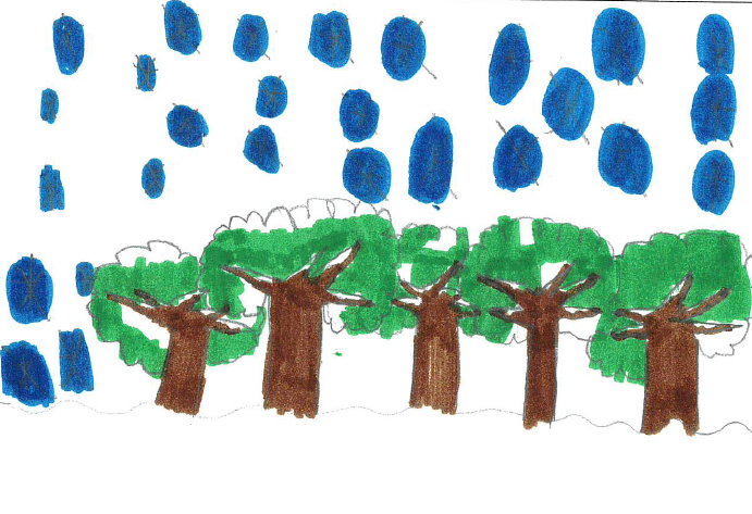 Isaac Wilcox, grade 4, Fairview