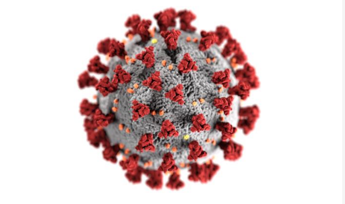 CDC Coronavirus Illustration