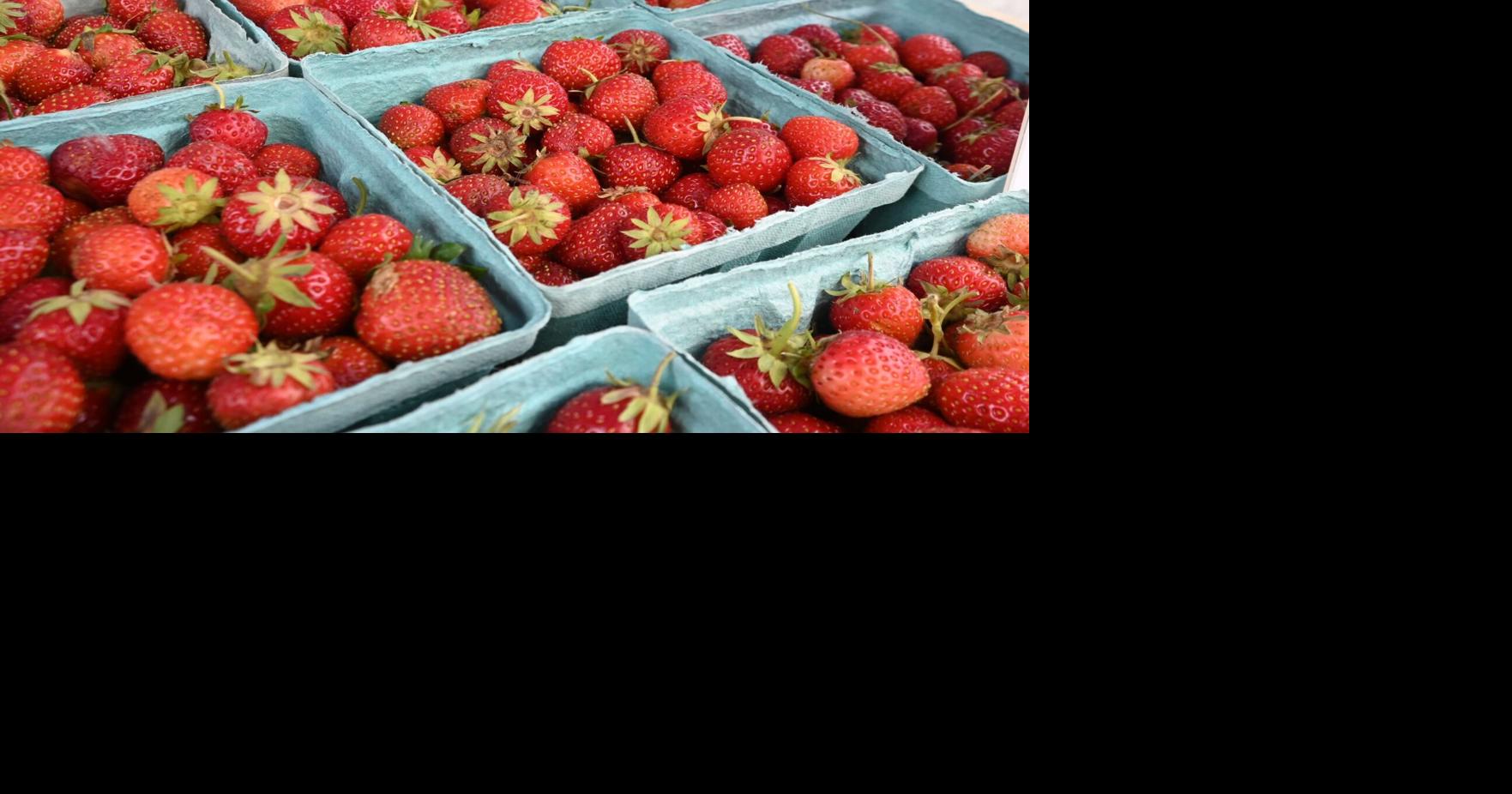 Healthy Families: Savor strawberry season
