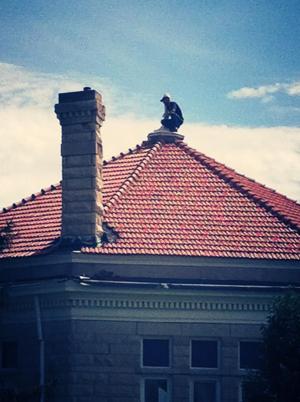 Star roof 3.jpg
