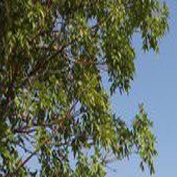 Can Sunpower Turn Around Its Commercial Solar Business Markets Stocks Pantagraph Com