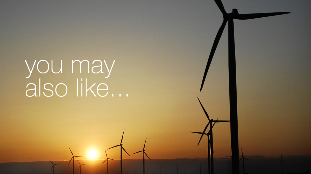 You may also like...