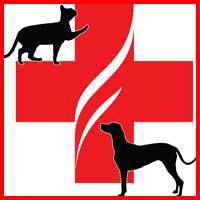 Animal Emergency Clinic