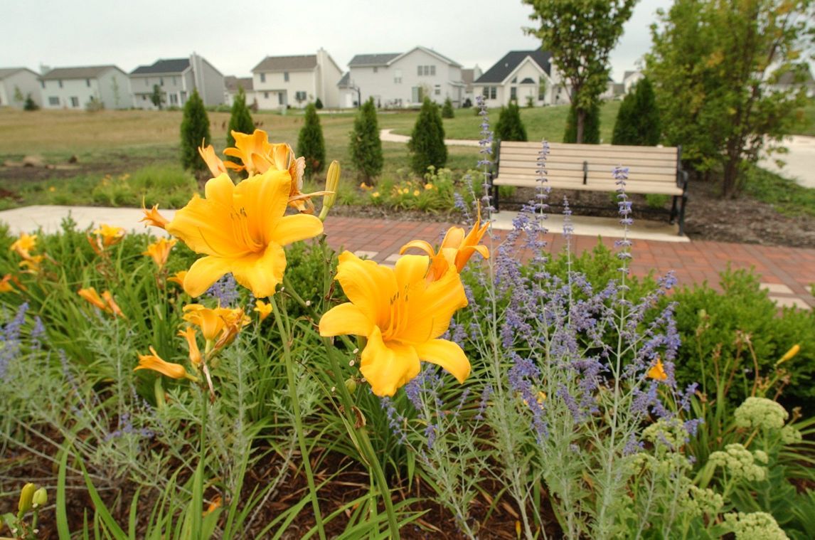 McGraw Park
