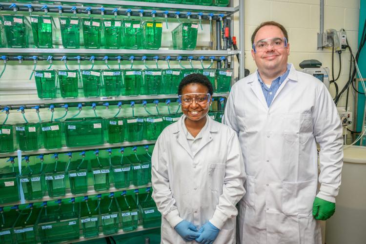 One simple trick makes zebrafish a better model for microbiome research