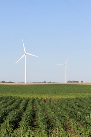Those wind turbines