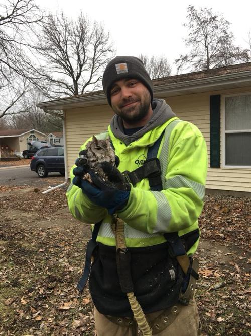 1218918-blm-loc-1owl