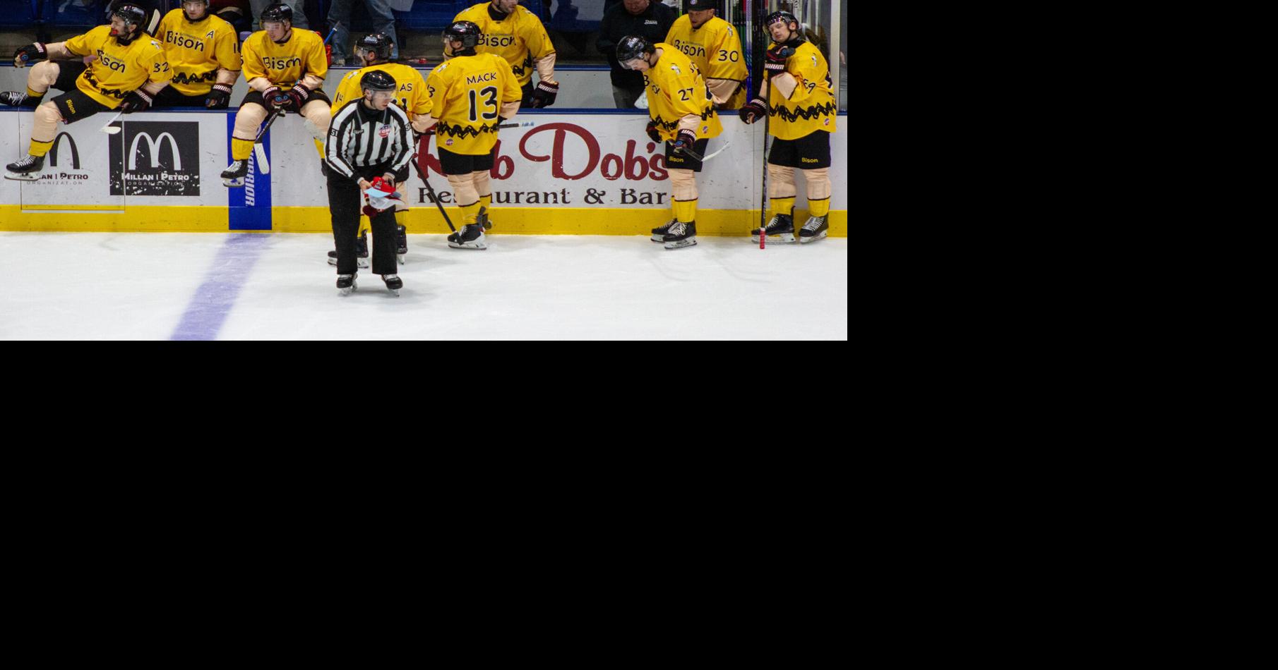 Bison captain says ECHL players seek fairness amid strike vote