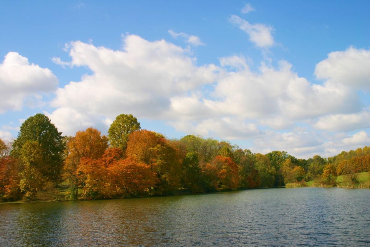 35 beautiful pictures that will make you excited for fall