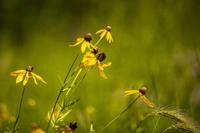 081020-blm-loc-6explore