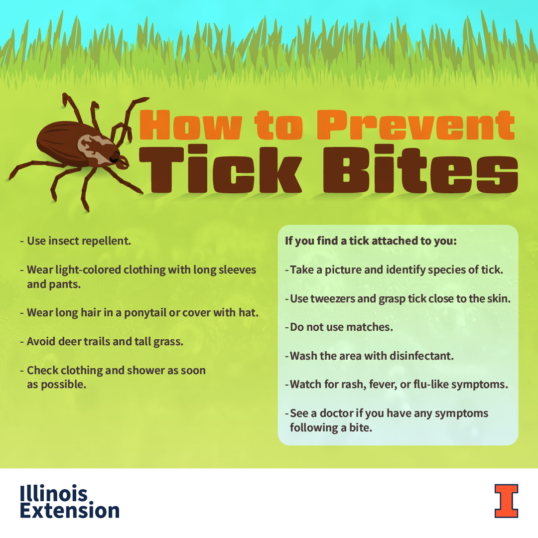 Allsup: How to prevent tick bites