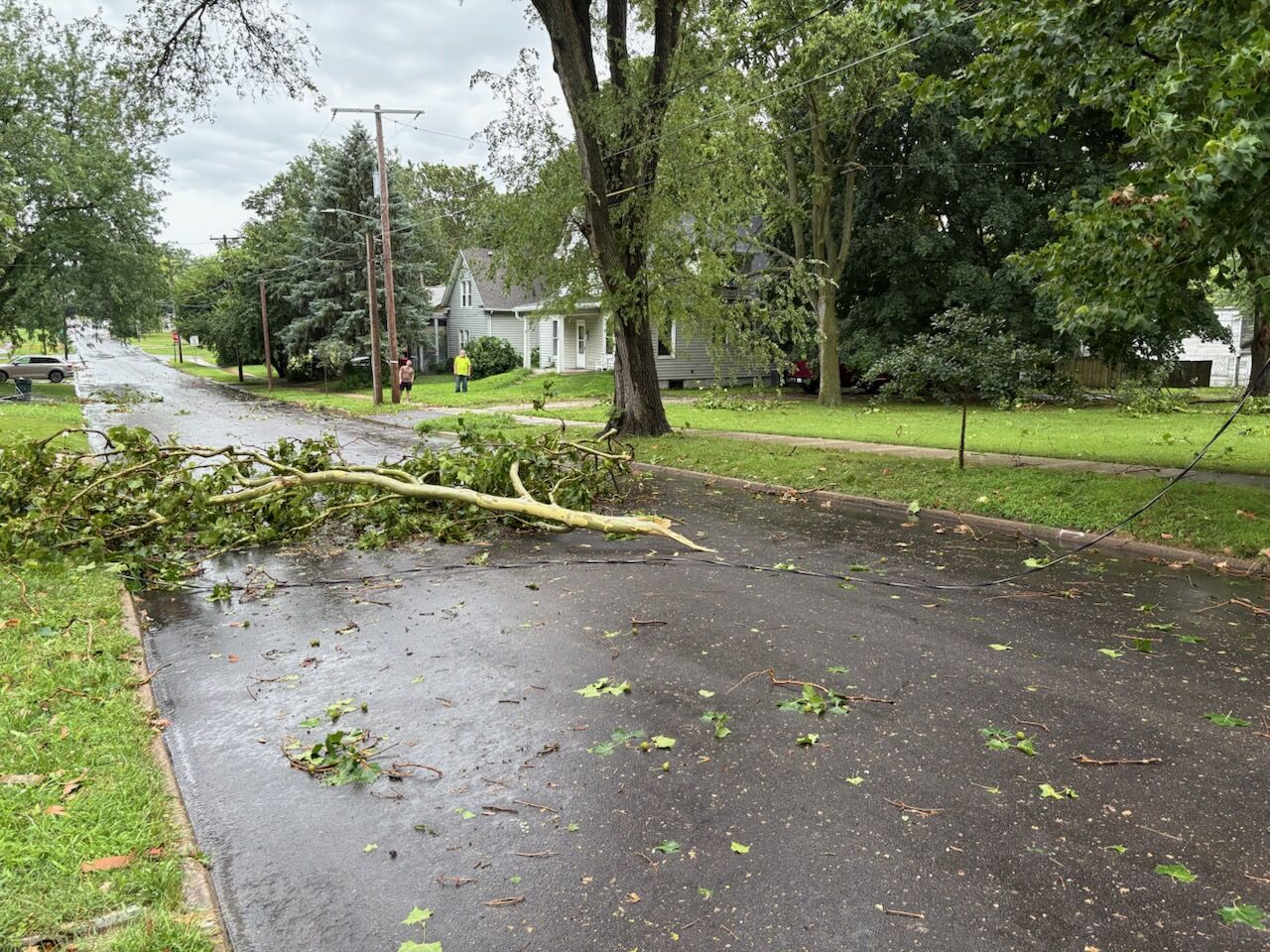 Downed trees, power lines, and outages reported after afternoon storm ...