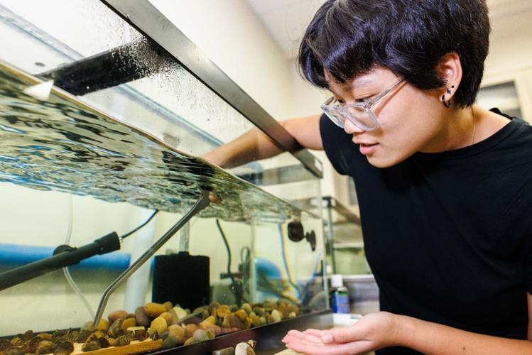 Undergraduate biology student uses DNA detective work to track invasive species