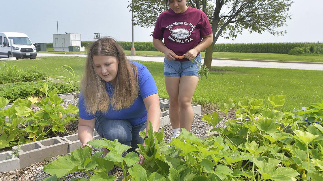 Watch now: $10K grant awarded to renovate greenhouse, advance agriculture at Normal Community | Local Education