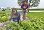 Watch now: $10K grant awarded to renovate greenhouse, advance agriculture at Normal Community