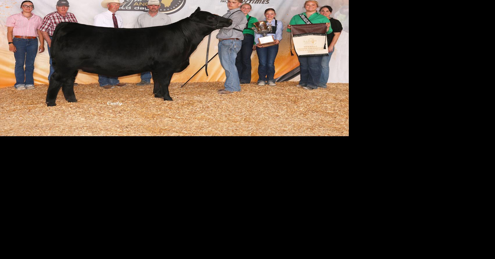 Towanda native earns national junior angus bronze, silver awards
