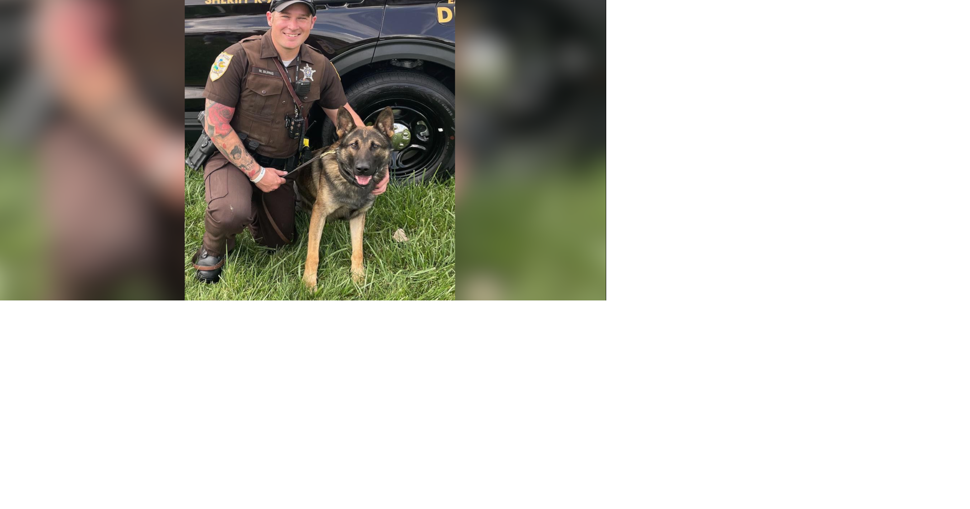 New McLean County Sheriff's Office K-9 completes training