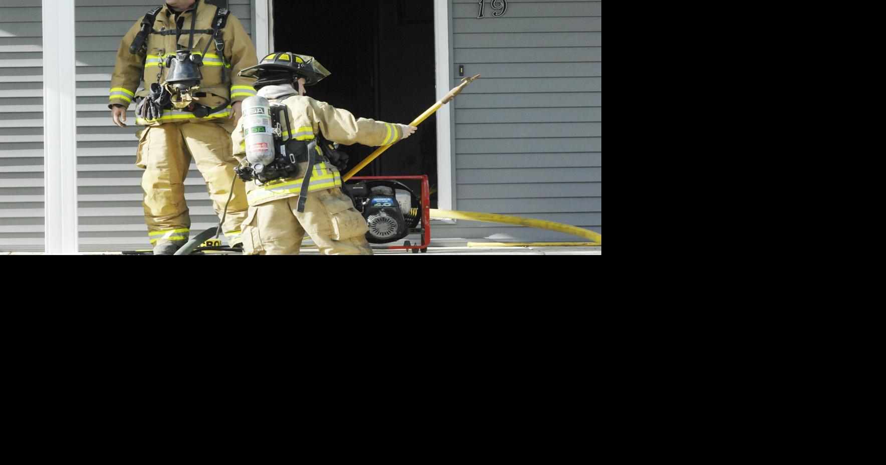 House damaged, 2 dogs killed in Lexington fire