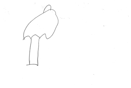 Makenzie Johnson, grade 4, Washington