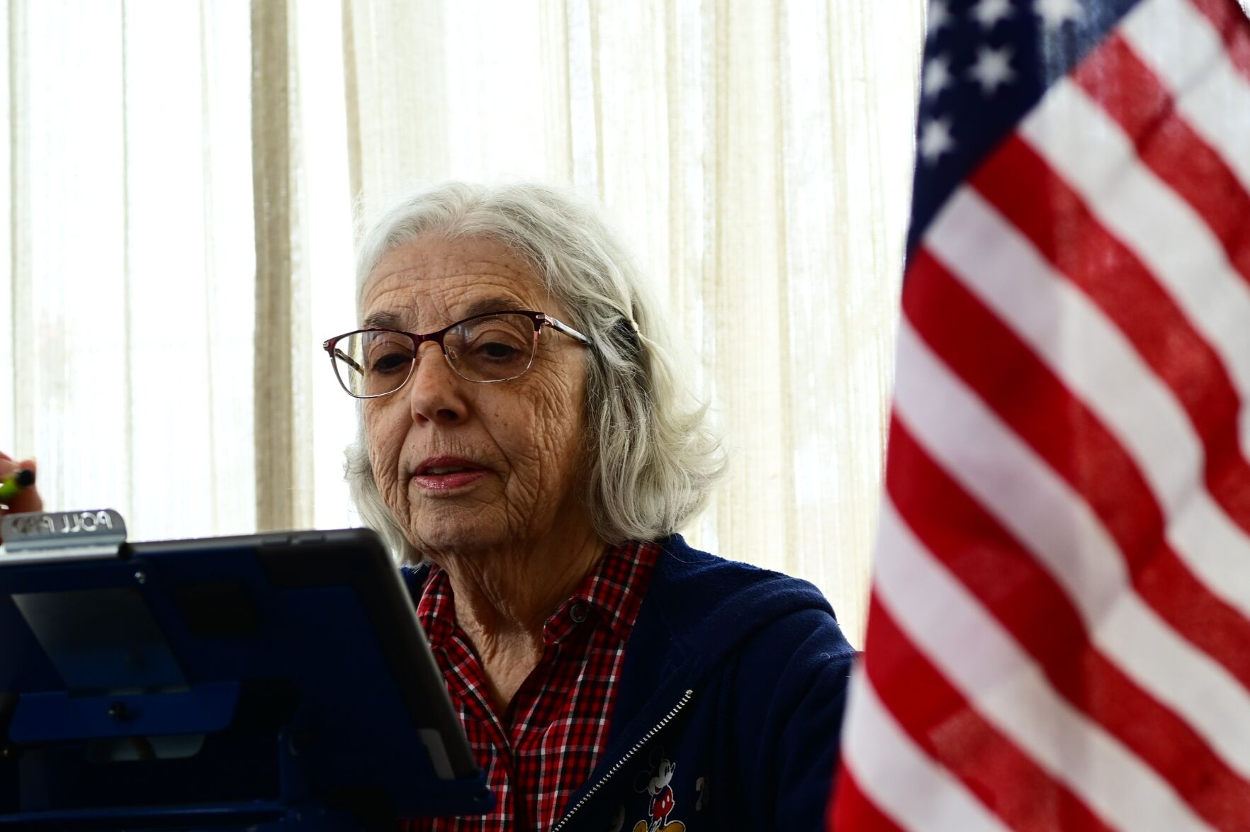 McLean County, Bloomington election judges explain process