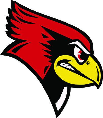 Redbird logo