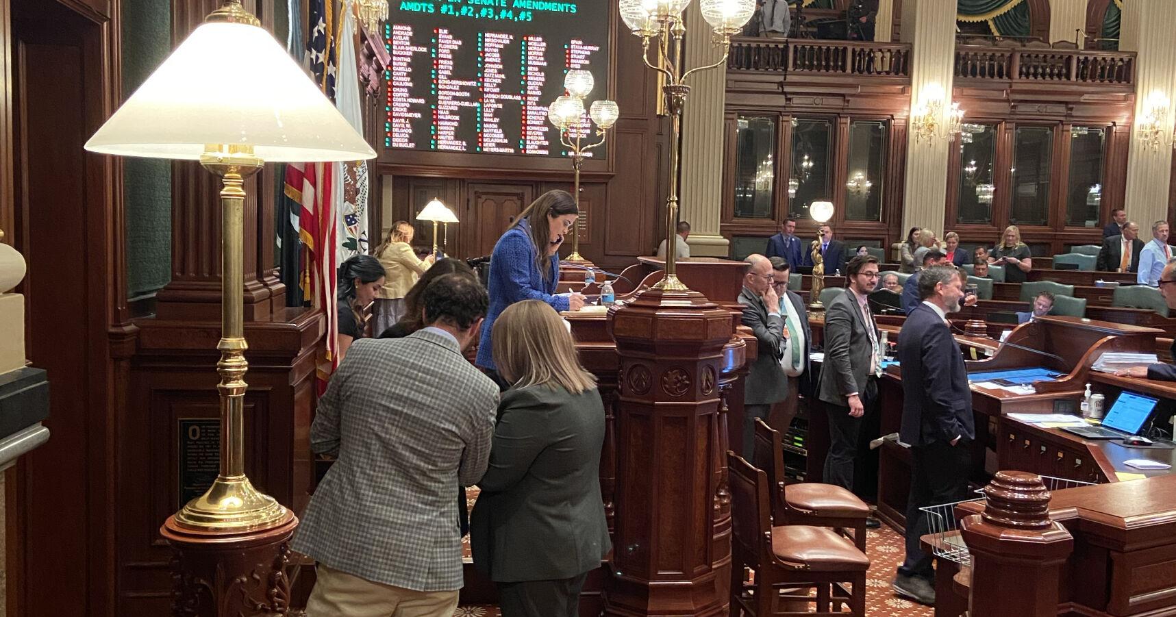 Inside the Illinois House budget vote - Vimarsana News