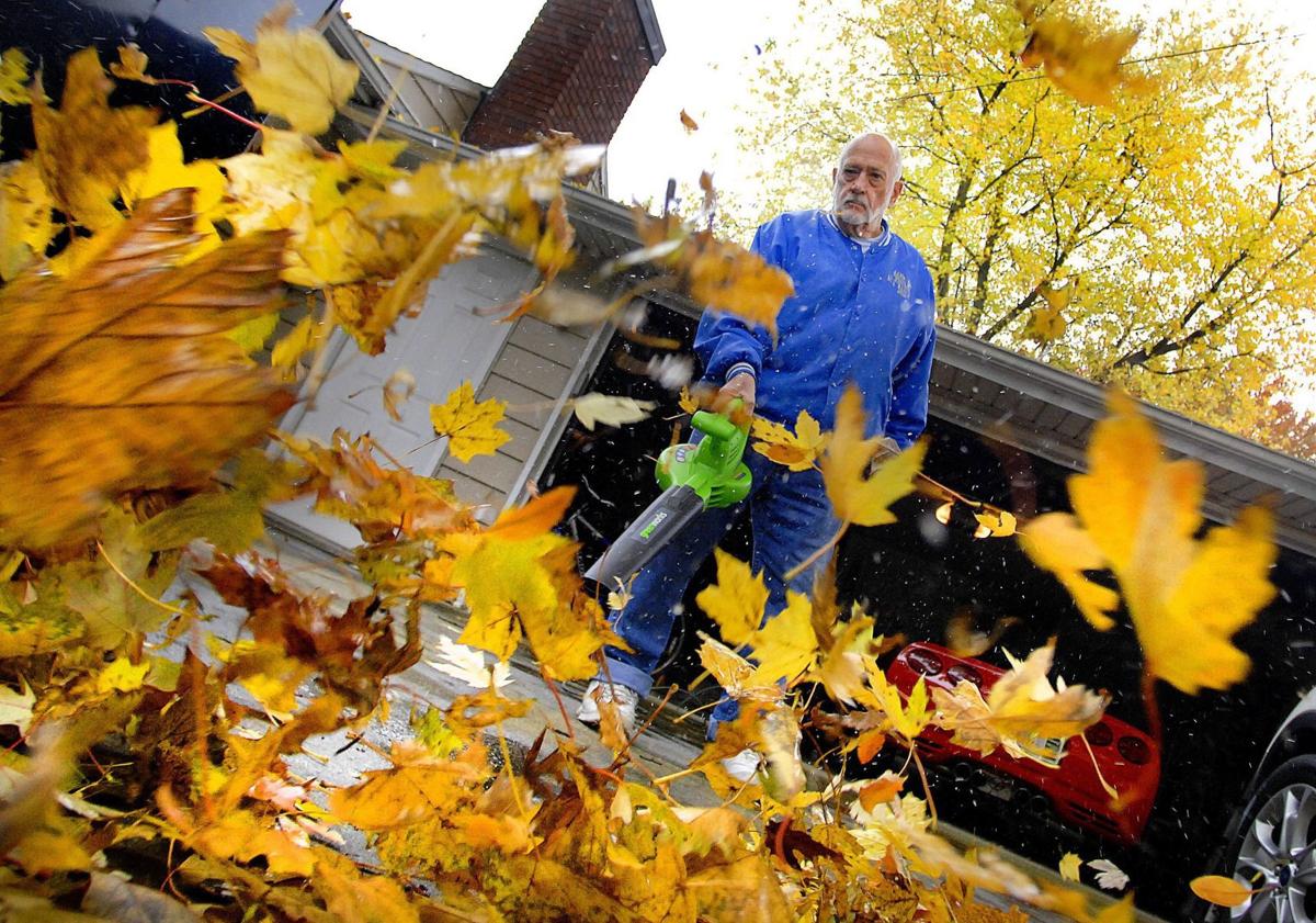Twin City Vacuum Leaf Pickups Begin Monday News Pantagraph Com