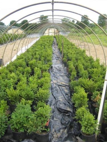 Nursery view  