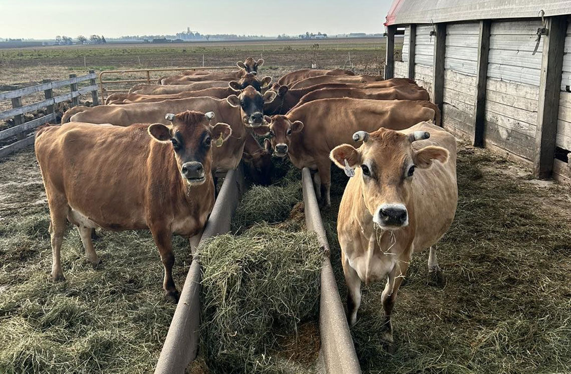 Raw milk advocates press for loosening state restrictions on sales