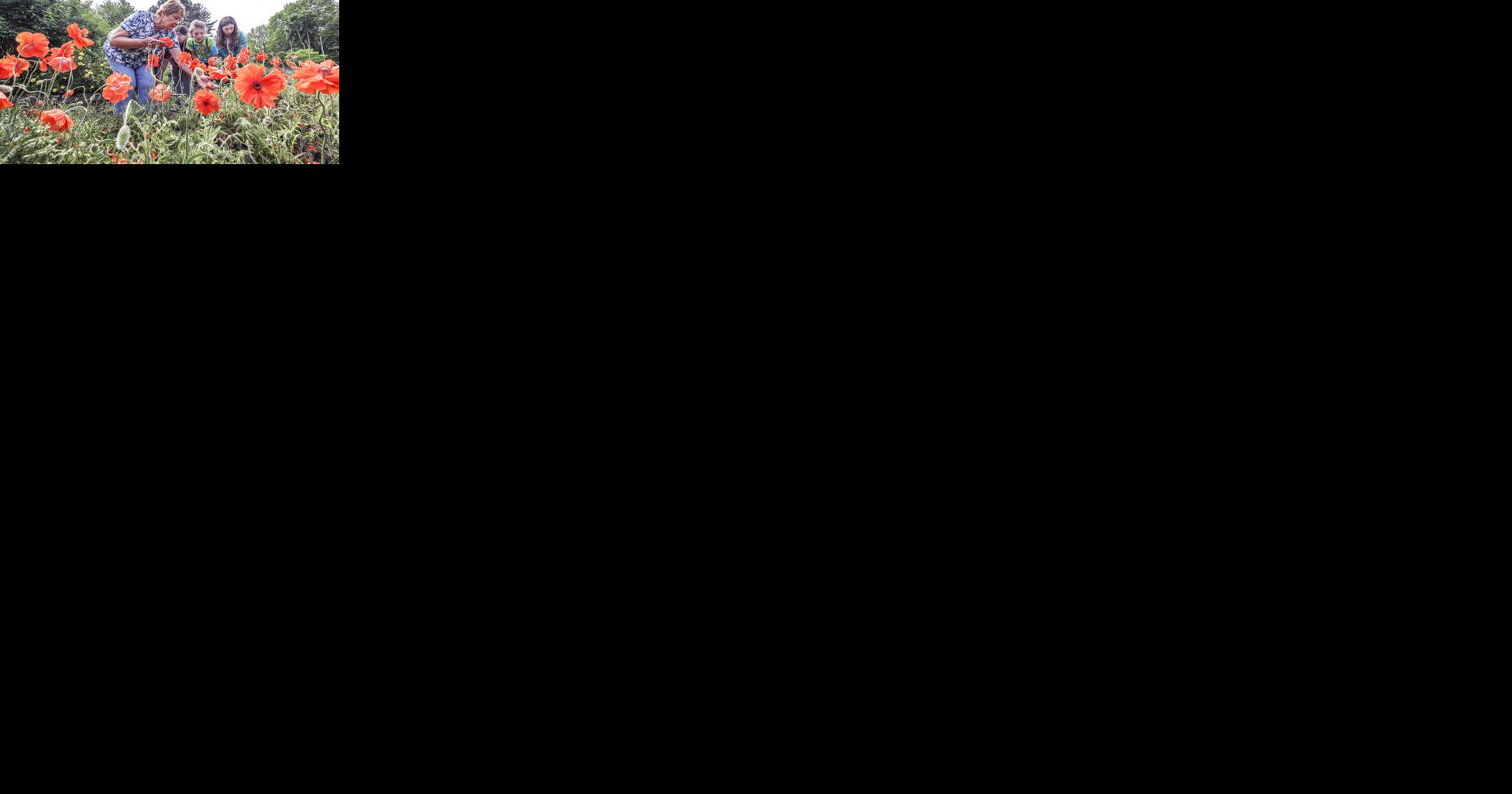 Master Gardener training planned this fall in Bloomington