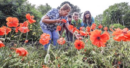 Master Gardener training planned this fall in Bloomington Master Gardener training planned this fall in Bloomington