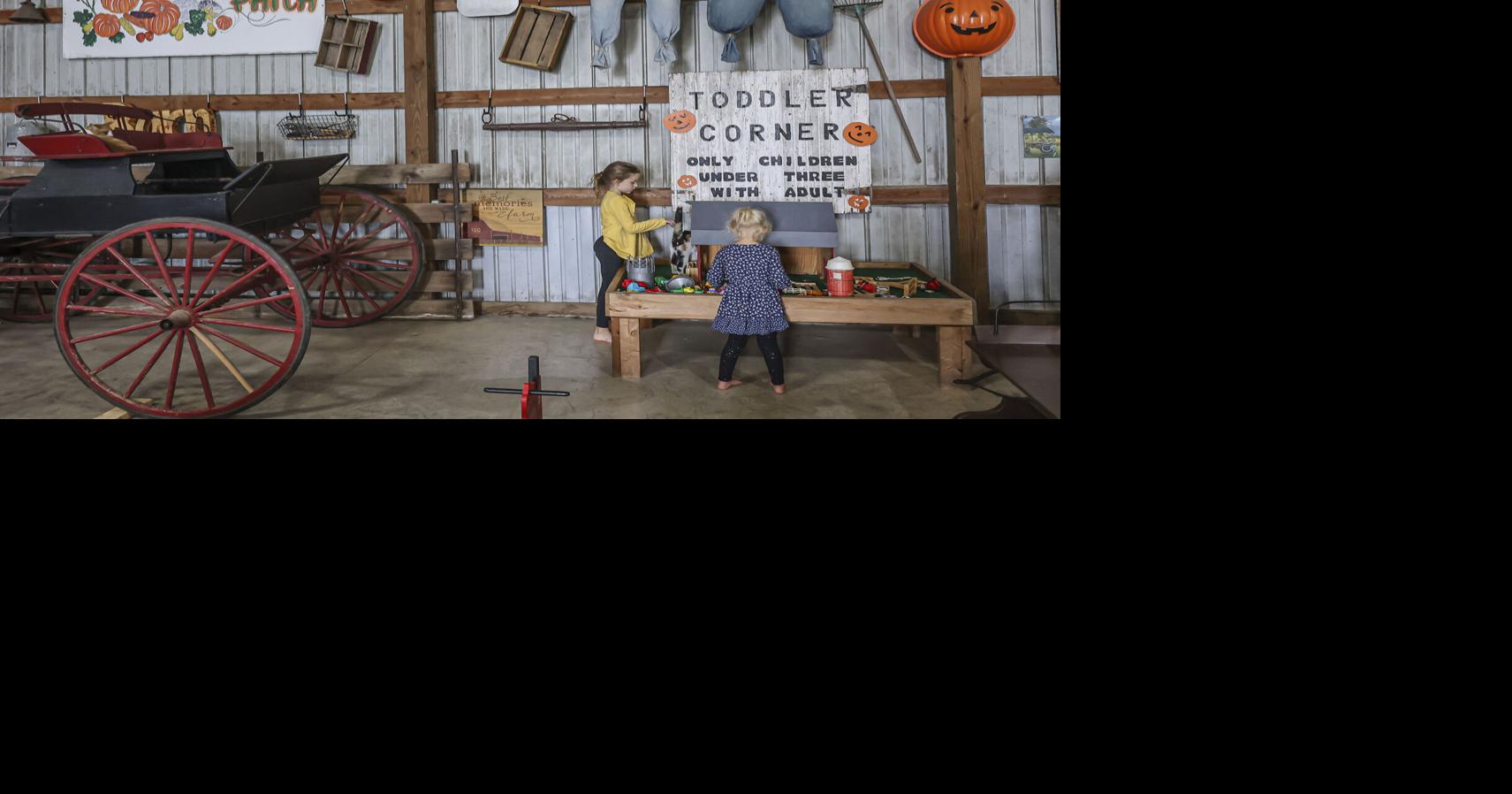 Gail's Pumpkin Patch to open Sept. 10 near Beason