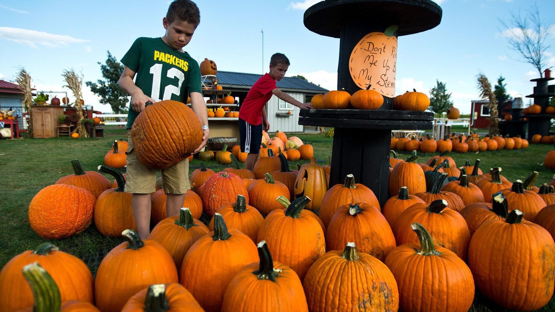 All About Fall Rader Farms Open For Season Marks 10th Year Entertainment Pantagraph Com