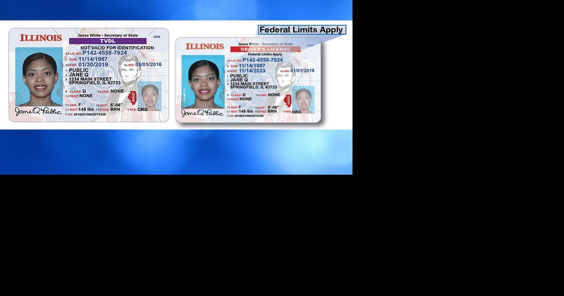 Illinois to make standard driver’s licenses available to noncitizens