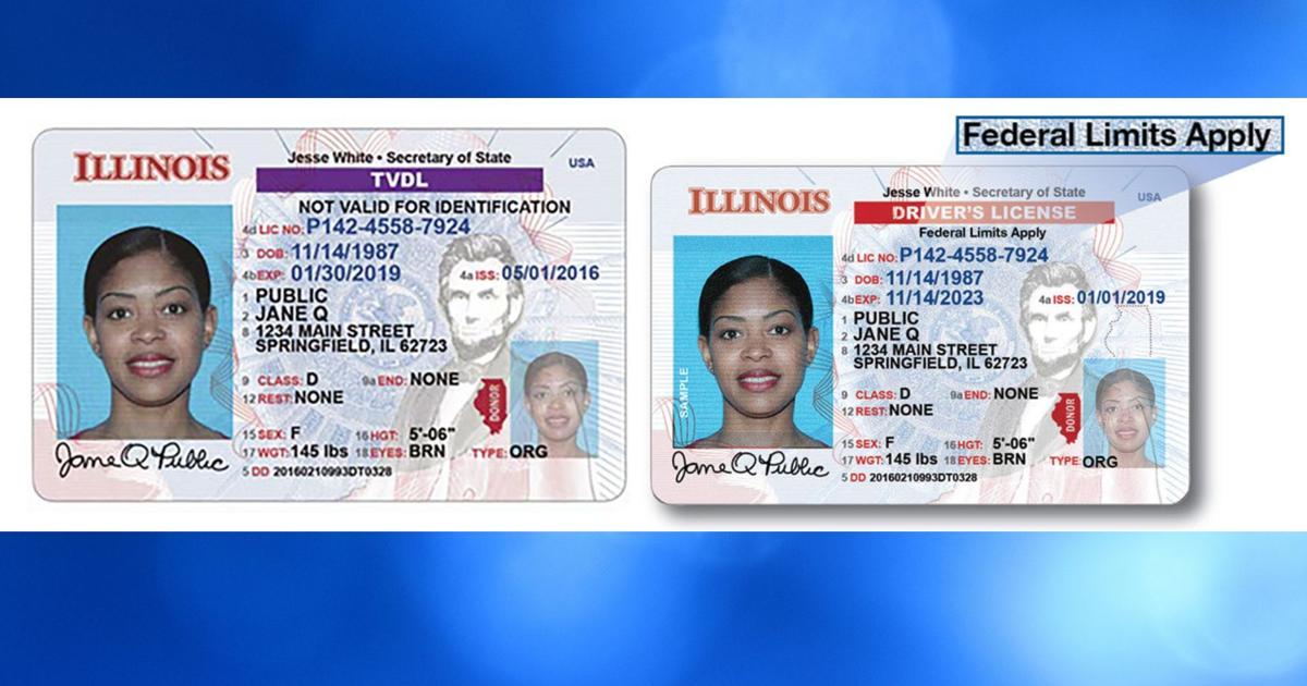 Illinois to make standard driver’s licenses available to noncitizens