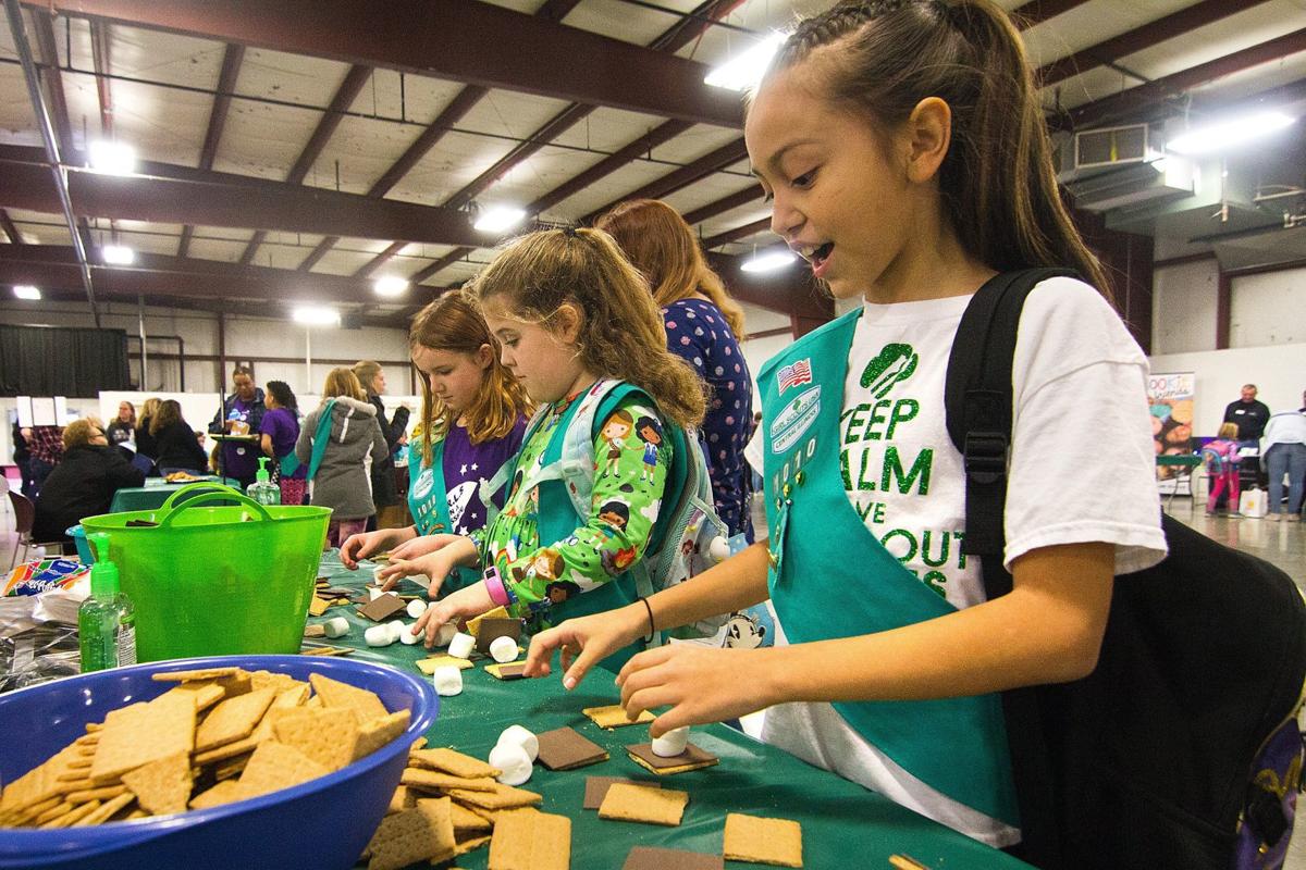 Scouts find sweet success at Central Illinois cookie rally