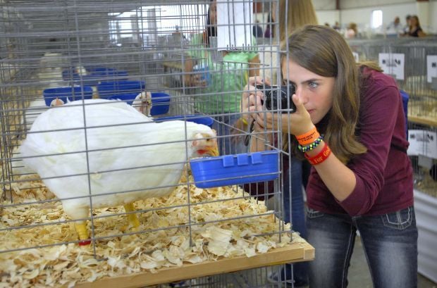 McLean County Fair