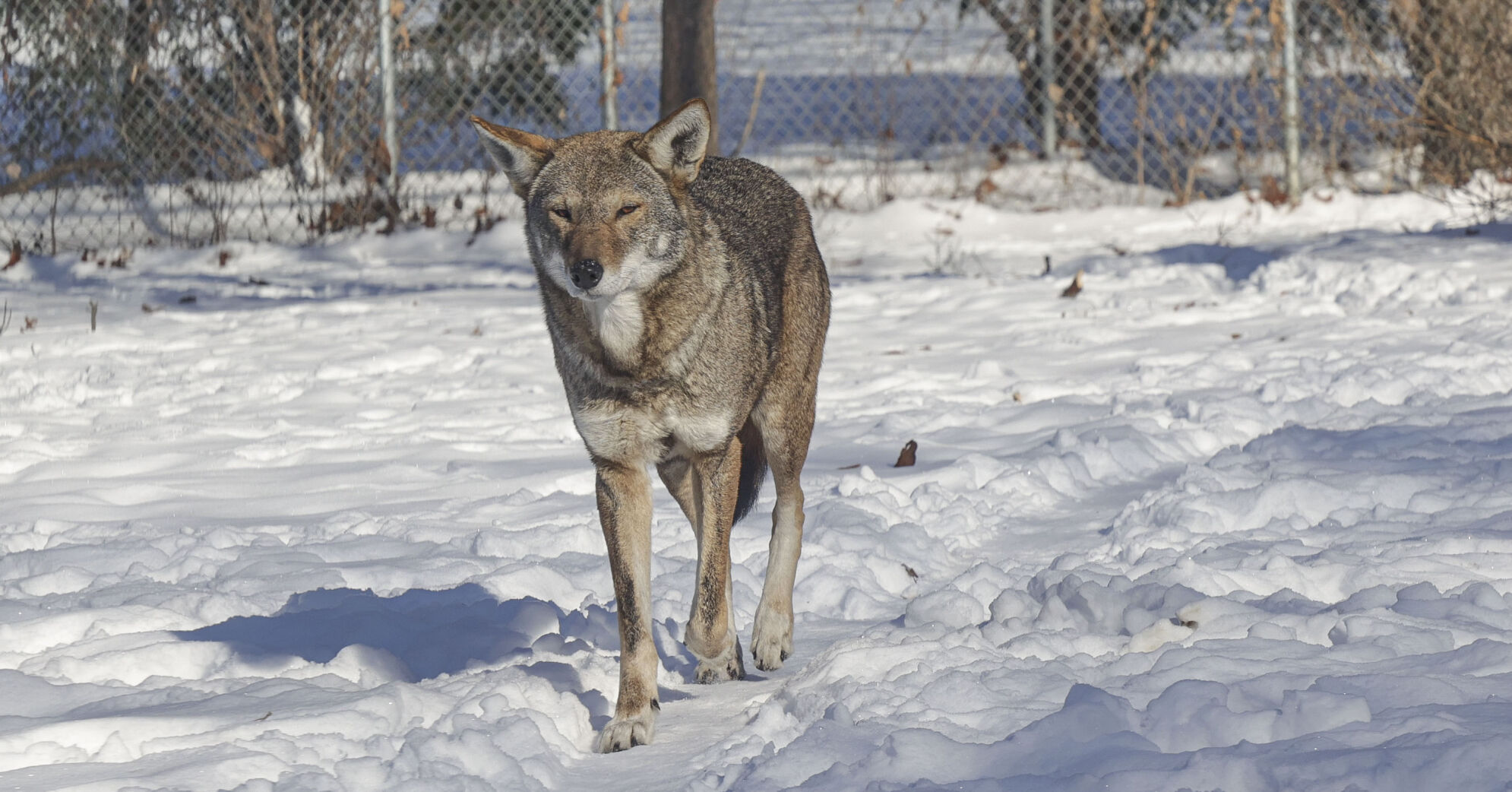 Got Plans This Weekend Check Out Central Illinois Events got-plans-this-weekend-check-out-central-illinois-events