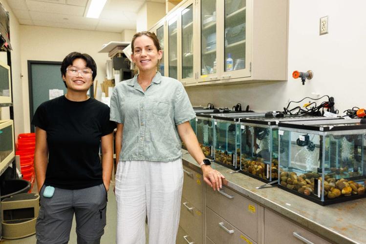 Undergraduate biology student uses DNA detective work to track invasive species