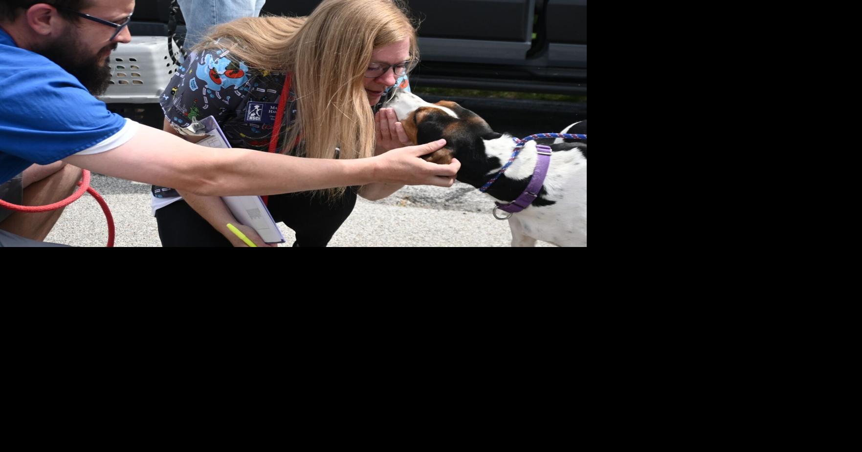 Humane Society of Central Illinois to host “Fur-Chella 2025” pet adoption event