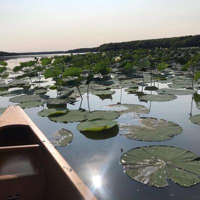 Clinton Lake Lily Pad Paddle