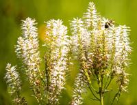 081020-blm-loc-8explore